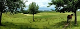 15 b pano uitzicht Meshcerhei camping 02b-60pro 600